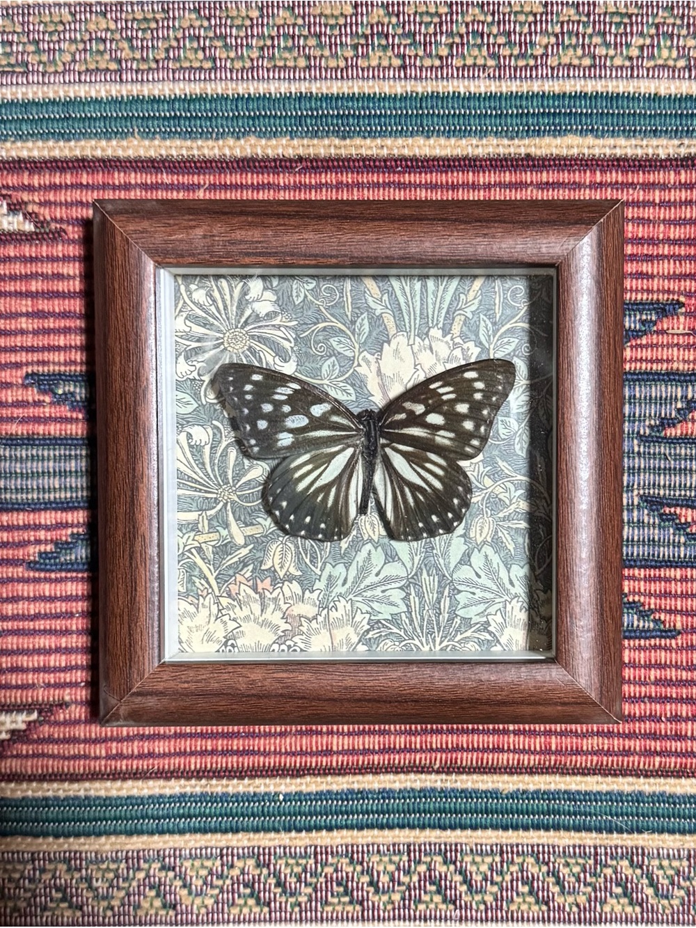 Framed Butterfly Wall Art in Brown Frame